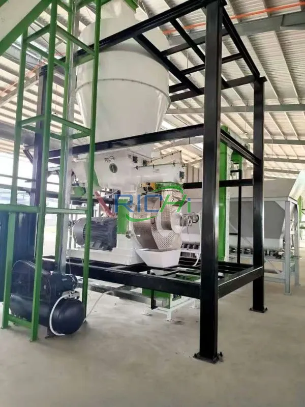 Palm EFB pellet production line in Malaysia