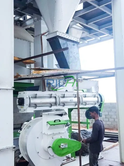 15TPH Poultry and Cattle Feed Pellet Plant in Oman