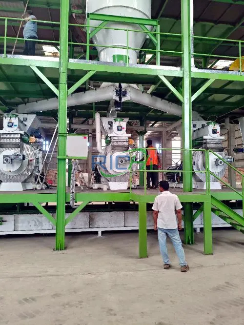 Wood Pellet Processing Line in Bangladesh