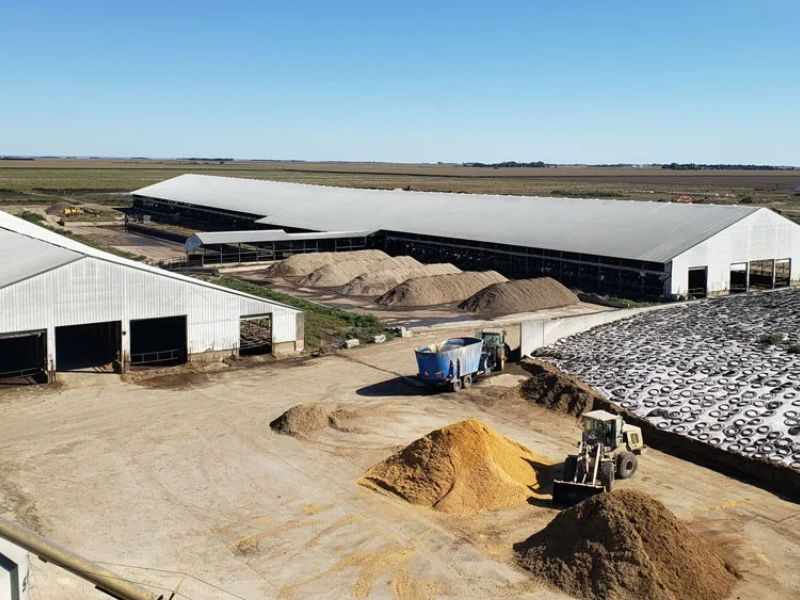 10T/H Pure Alfalfa Hay Bale Pellet Plant in Mexico