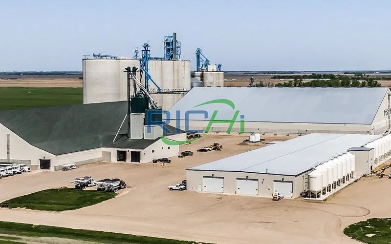 Large-Scale 50% Moisture Chicken Manure Bio-Organic Fertilizer Production Line in Poland