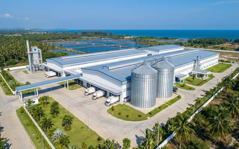 RICHI Machinery Launches 2T/H Shrimp Pellet Line in Thailand