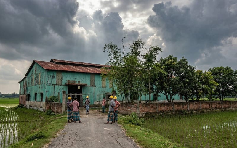 4T/H Bangladesh Rice Straw Pellet Production Line Project Progress in Bangladesh