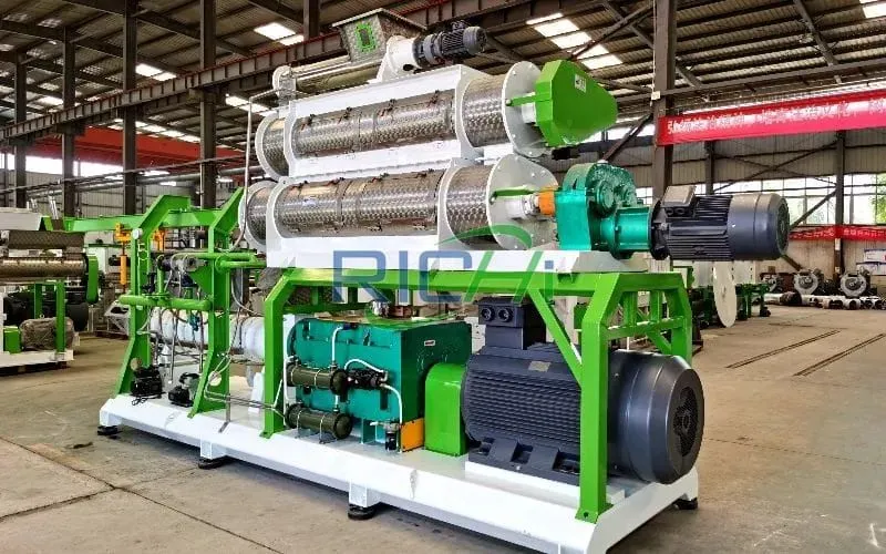 0.5-1T/H Twin Extruder Machine in Hungary