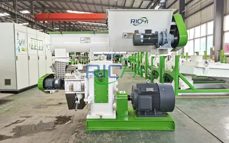 6-8T/H Chicken Manure Pellet Machine in Bulgaria