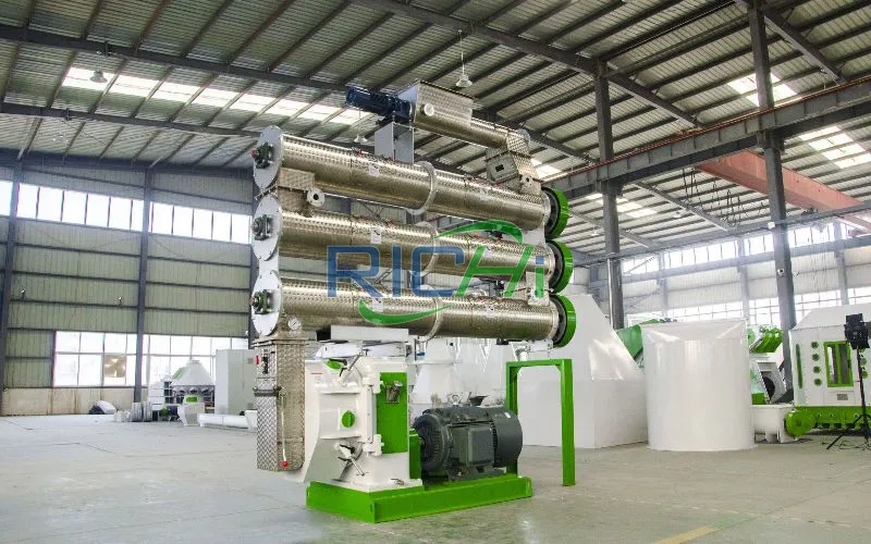2T/H Shrimp Pellet Machine in Ecuador