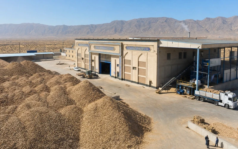 3TH Pistachio Shell Pellet Line for Industrial Heating in Iran