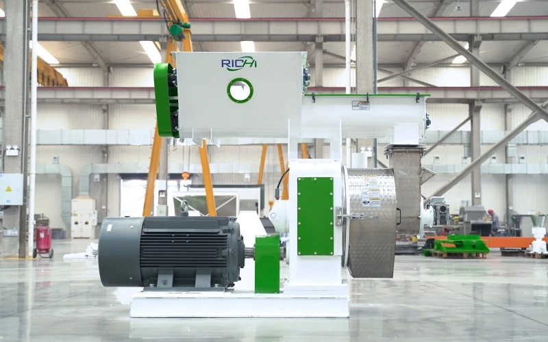 1T/H Paper Extruder in Nigeria