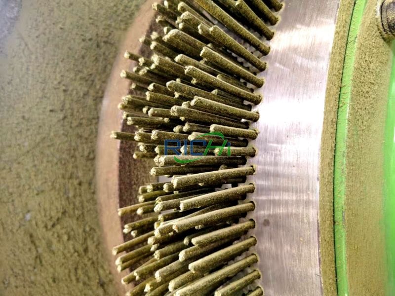 What Type Of Alfalfa Pellets Can You Produce