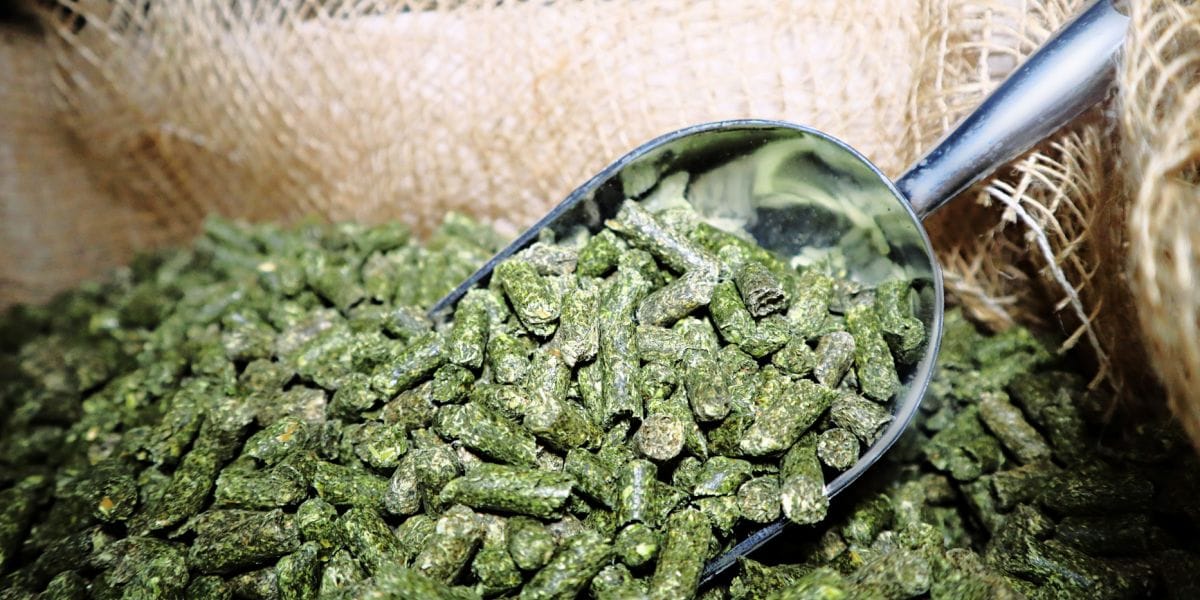 Alfalfa-Pellets