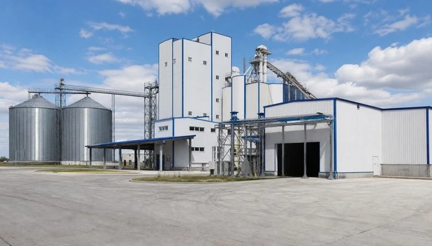 Feed Processing Plants