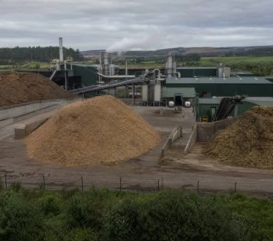Biomass Pellet Fuel Plants
