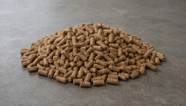 Animal Feed Pellet