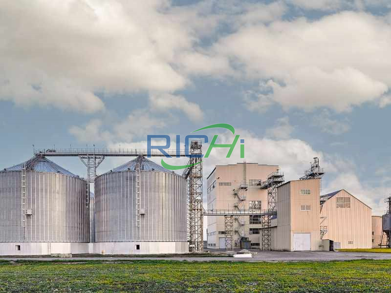 10T/H Машина для производства гранул корма для животных на продажу Эквадор