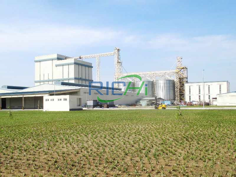 25T/H Animal Feed Pellet Machine For Sale Argentina