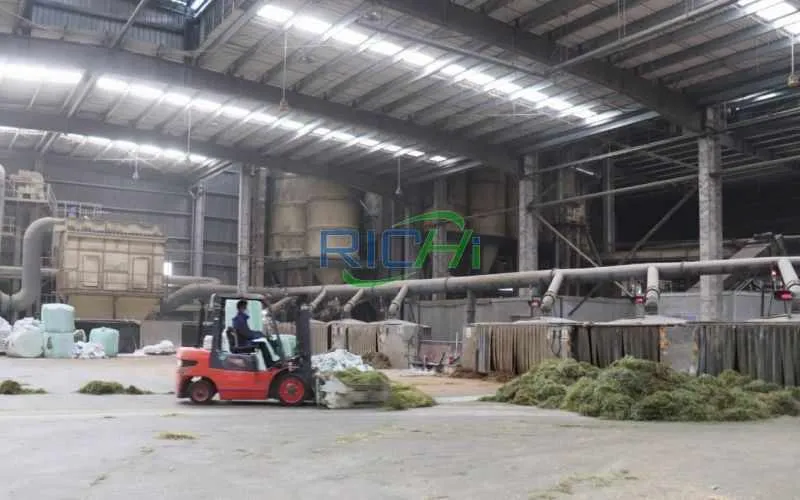 Cattle Grass Pellet Line In Brazil