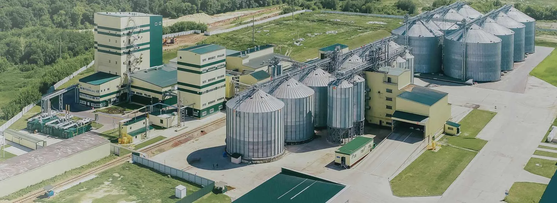 cost of setting up animal feed plant