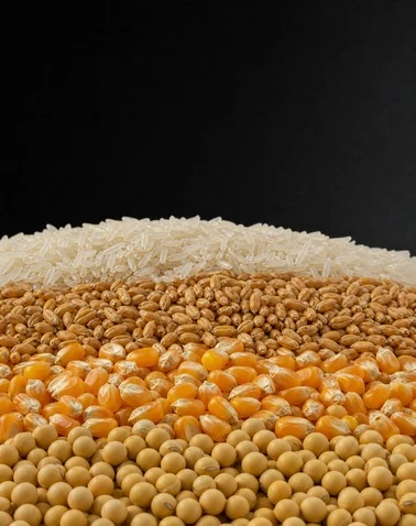 Grain, Cereal & Seed Packing System
