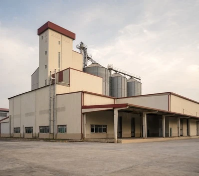 Grain & Cereal Processing Plants