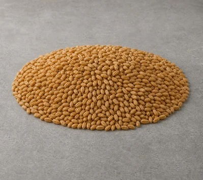 Grain & Cereal Products
