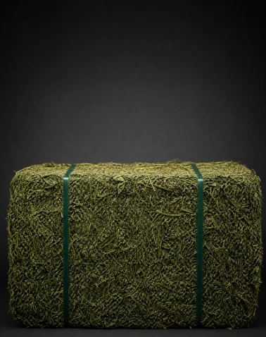 Alfalfa Bale Breaking System