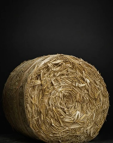 Corn Stalk Bale Breaking System