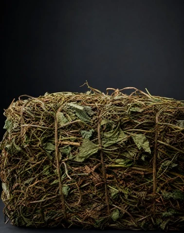 Peanut & Sweet Potato Vine Bale Breaking System