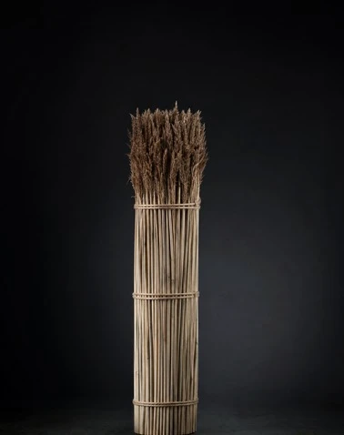 Reed Bale Breaking System