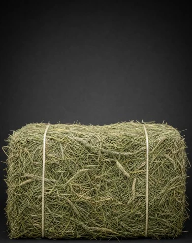 Pasture Grass Bale Breaking System