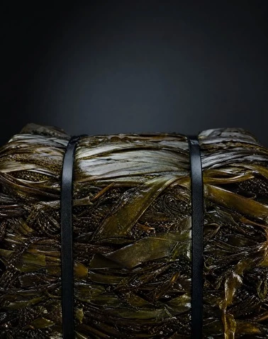 Seaweed Bale Breaking System