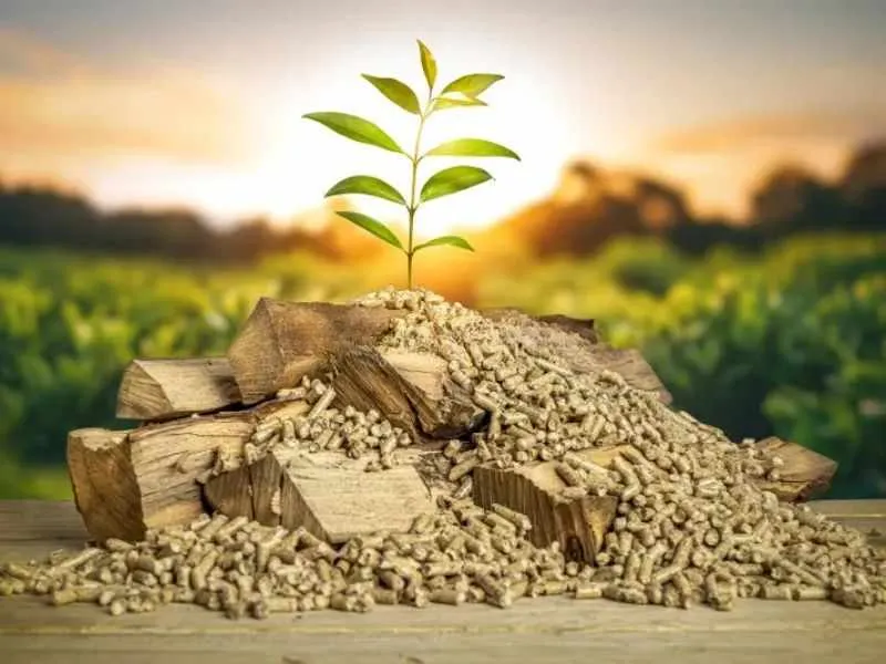 Biomass Pellet Mill Types