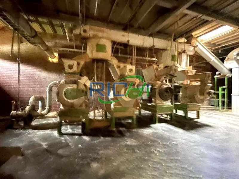 Biomass Pellet Mill For Sale Russia