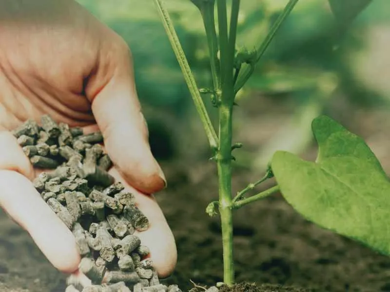 cow manure pellet machine video-banner