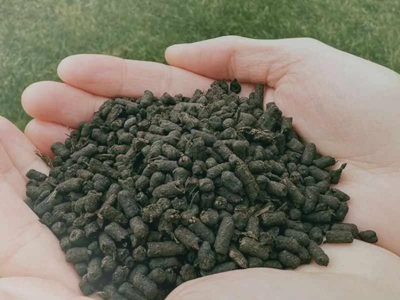 cow dung pellet machine video-banner