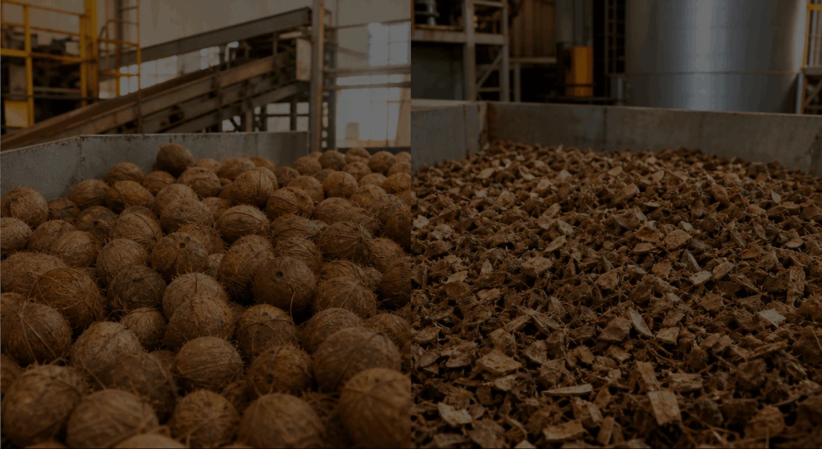 Double-Shaft Shredder for Crushing Coconut Shells Testing Video