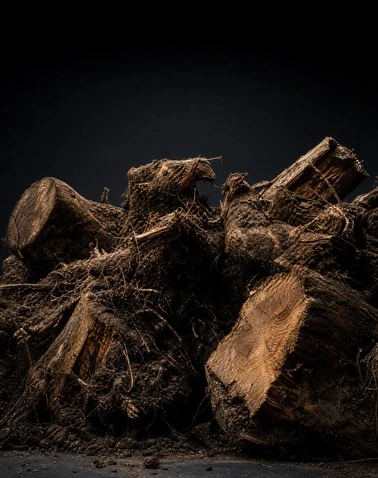 Stump And Root Processing System