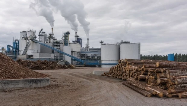 Pulp & Paper Mills