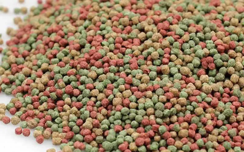 Ornamental Fish Feed Production Line
