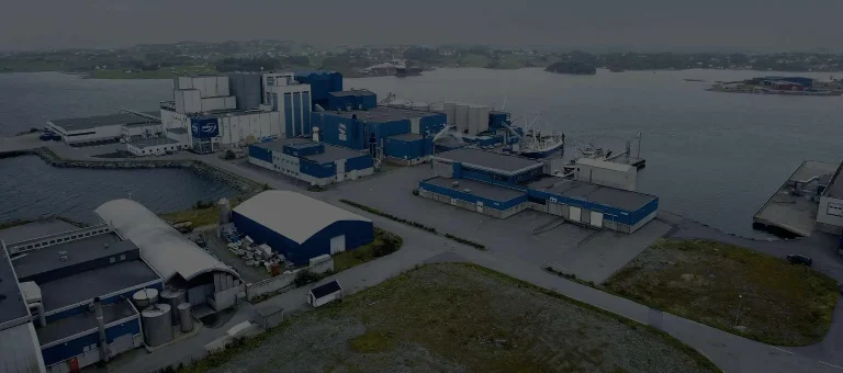 Aquatic Fish Feed Production Line