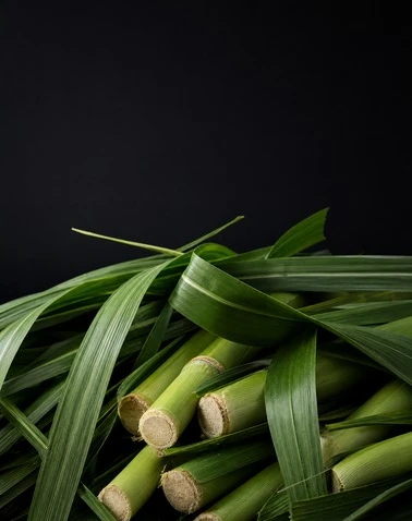 Napier & Elephant Grass Crushing System