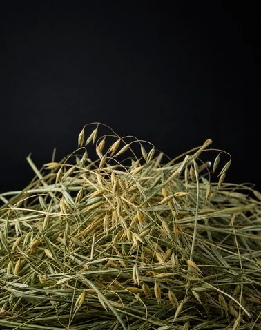 Forage Oats & Oat Hay Crushing System