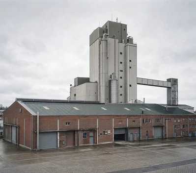 Biomass Power Plants