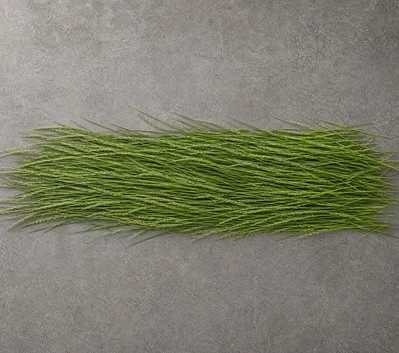 Ryegrass Hay