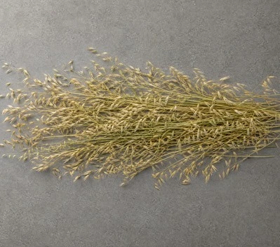 Oat Hay
