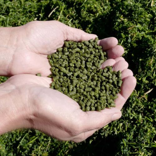 हरी घास की गोलियां
