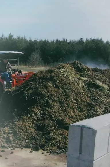 Compost Horse Manure