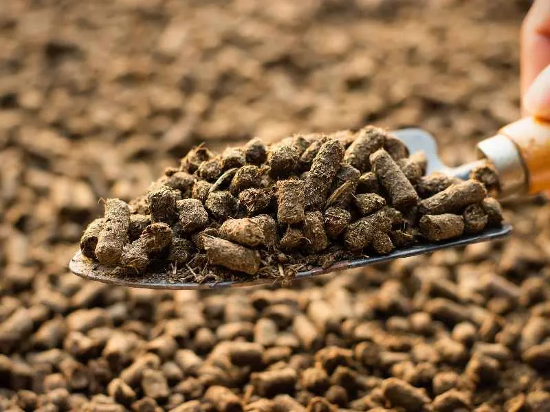 Why process horse manure pellets?