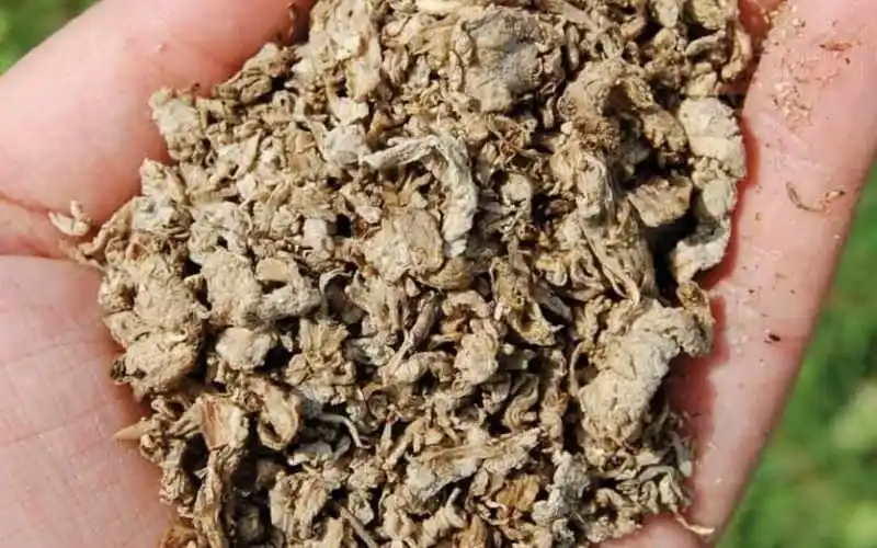 Beet Pulp