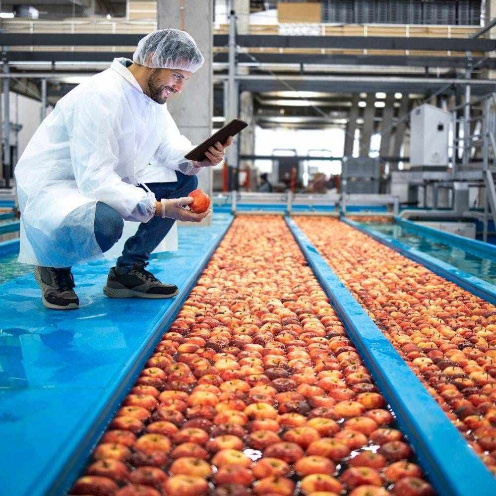 Food Factory