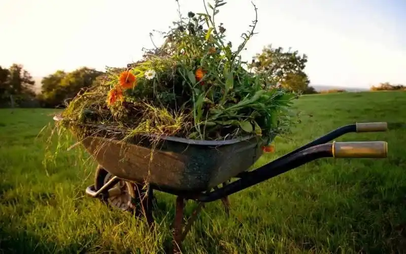 Garden Waste